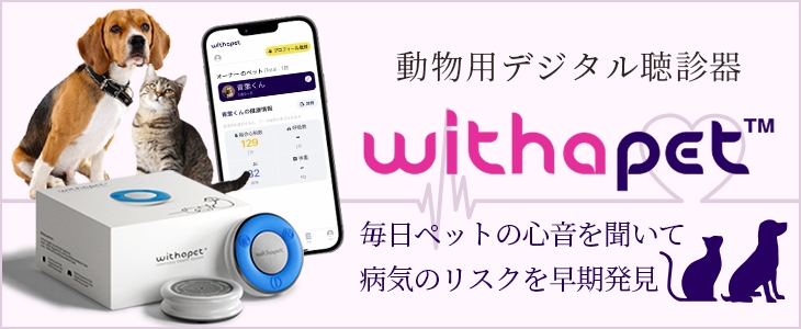 動物用デジタル聴診器ウィズアペット | CSI株式会社