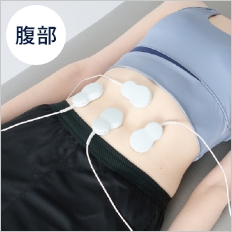 腹部