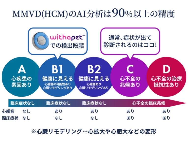 MMVD(HCM)のAI分析は90％以上の精度