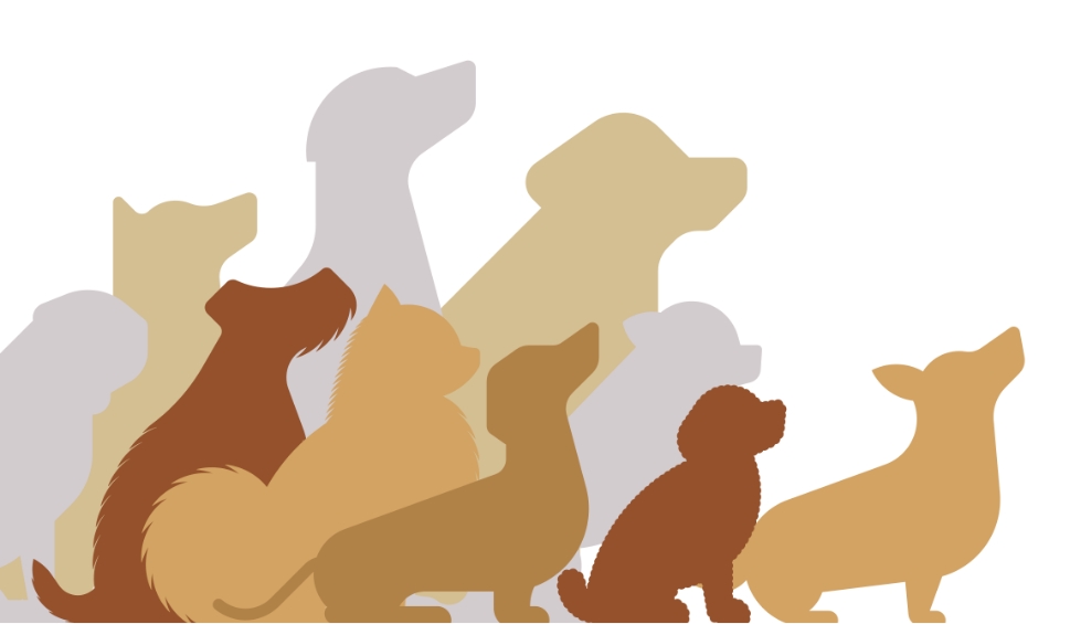 犬のイラスト